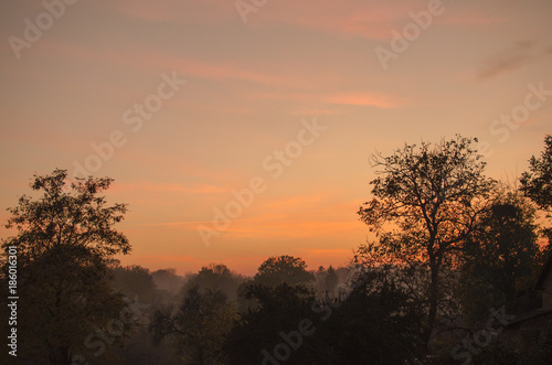 sunset in autumn forest