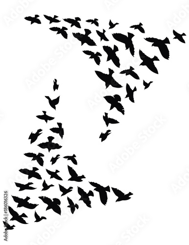 Silhouette of a flock of birds. Black contours of flying birds. Flying pigeons. Tattoo.