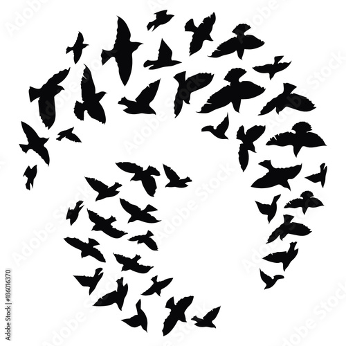 Silhouette of a flock of birds. Black contours of flying birds. Flying pigeons. Tattoo.