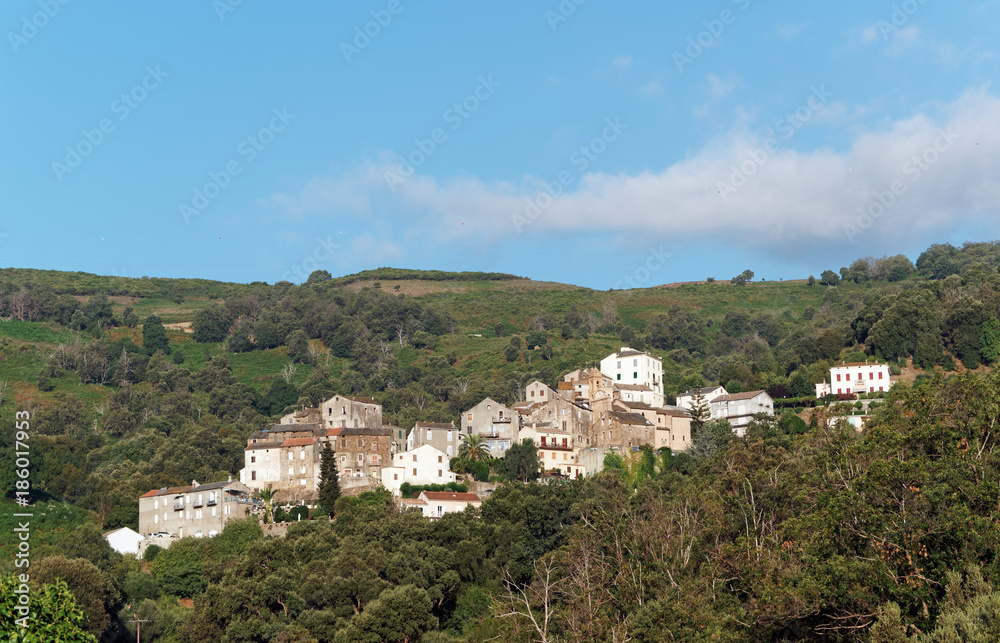 Lucciana village de  haute Corse