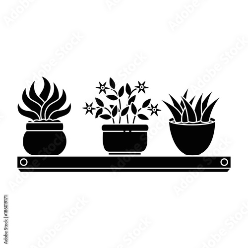 house plants with pots in shelf