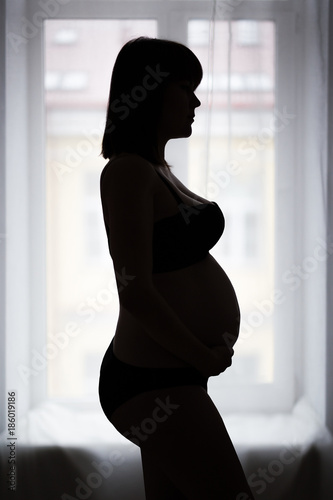pregnancy and motherhood concept - silhouette of pregnant woman posing over window