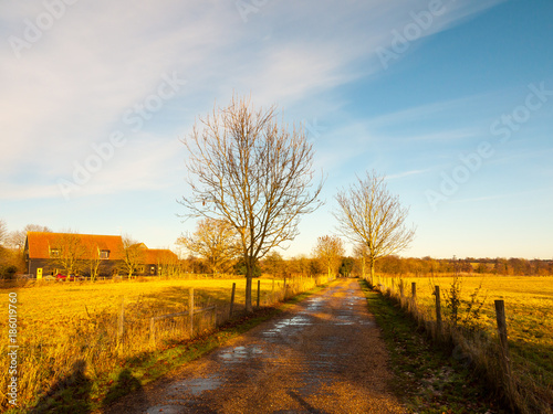 countryside lane field blue sky fields bare trees