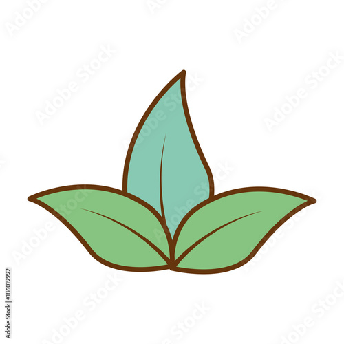 plants cultivated isolated icon