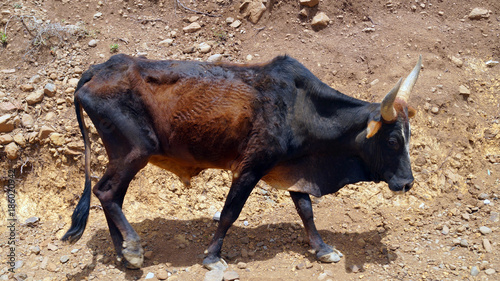 Ethiopia, poor people, children