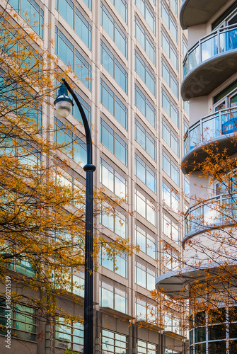 A streetlight on the background of oak trees and skyscrapers in autumn day, Atlanta, USA 