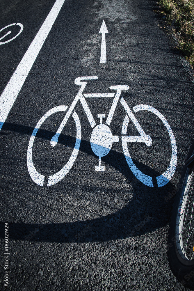 shadow bicycle wheel on the road