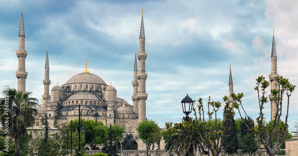 Obraz premium Blue mosque six minarets and eight secondary domes, Istanbul, Sultanahmet summer park. The biggest mosque in Istanbul of Sultan Ahmed Ottoman Empire.