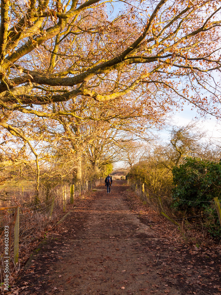 man walking down autumn country path lane rambling outside nature way direction place countryside