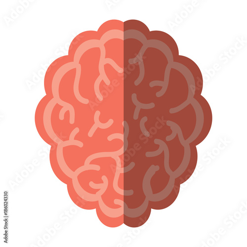 brain organ icon