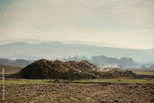 Foto Fertilizer from cow manure and straw