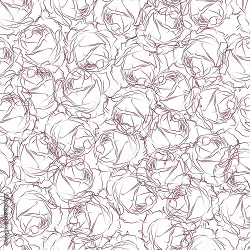 Seamless pattern in pink roses on a white background. Wallpaper in drawn roses