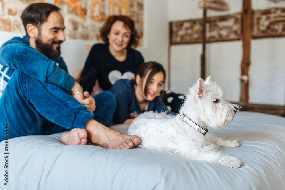 Couple relaxed at home in bed with their little daughter and the dog . Couple relaxed at home in bed with their little daughter and the dog .