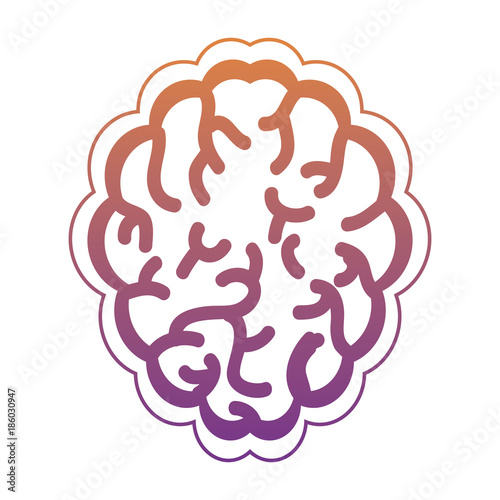 brain organ icon