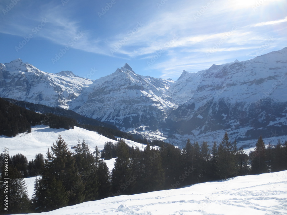montanas suizas en invierno
