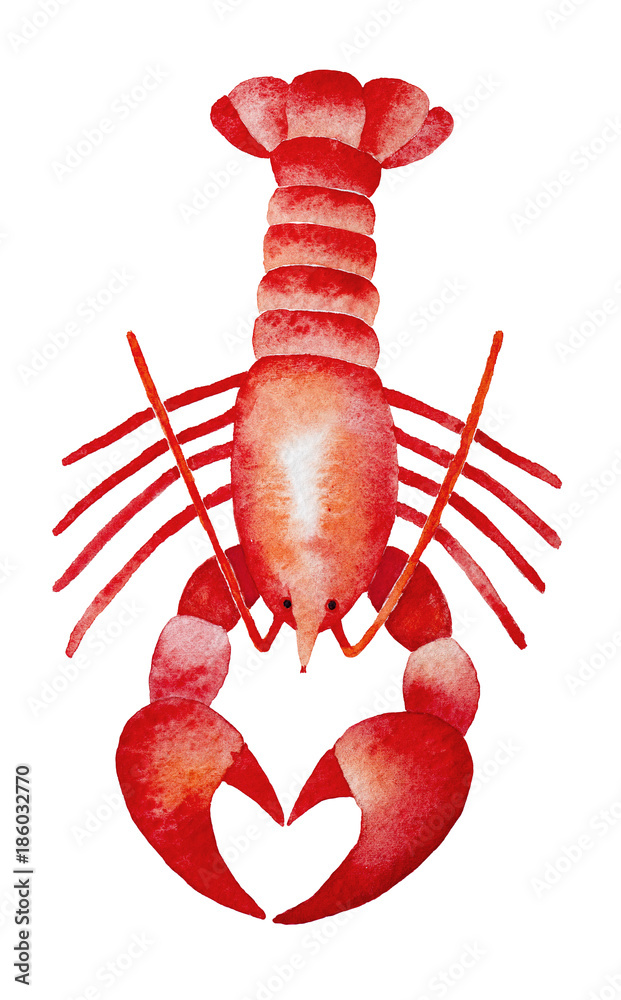 Red Lobster watercolour illustration. Claws show love heart shape. Seafood product, restaurant