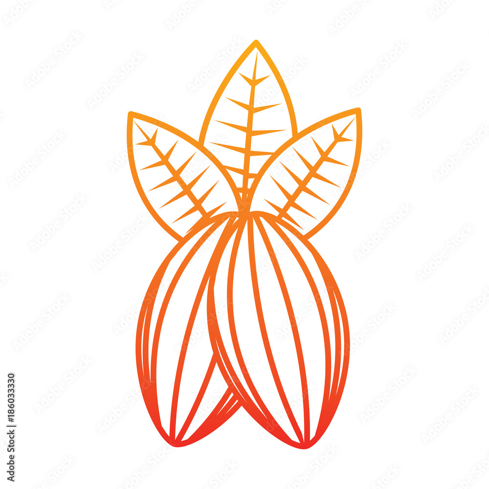 cacao fruit chocolate icon image vector illustration design yellow to red ombre line cacao fruit chocolate icon image vector illustration design yellow to red ombre line