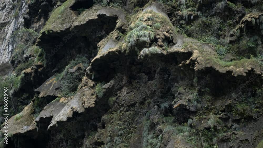 driving on boat, close up panoram view canyon wall with natural cascade form, tour in the Sumidero Canyon - Chiapas, Mexico
driving on boat, close up panoram view canyon wall with natural cascade form, tour in the Sumidero Canyon - Chiapas, Mexico