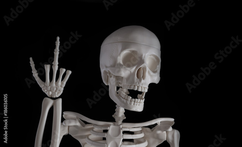 skeleton shows middle finger, black background