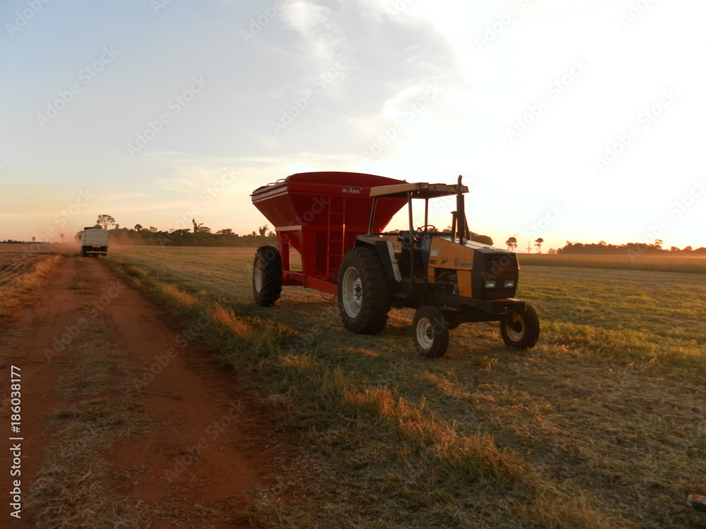 Fototapeta premium harvest with tractor in Paraguay