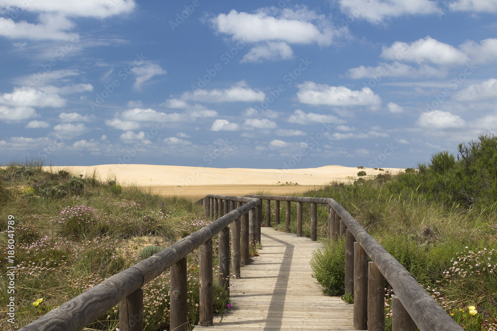 Wooden walkway leading to Bordeira Beach, Algarve, Portugal