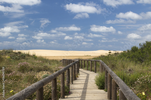 Wooden walkway leading to Bordeira Beach, Algarve, Portugal © chillingworths