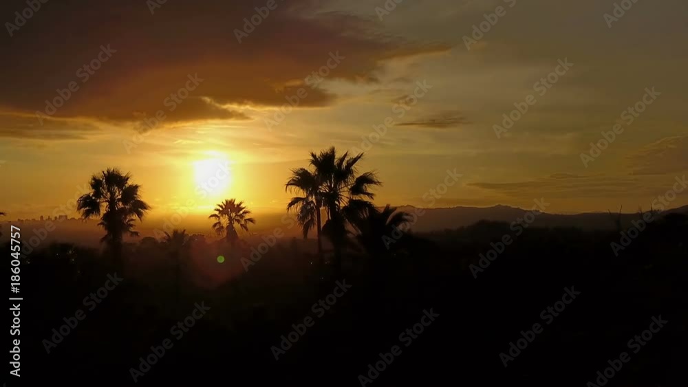 Silhouette of palm trees and a beautiful sunset. Silhouette of palm trees and a beautiful sunset.