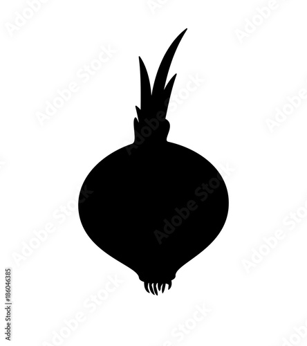 Bulb onion silhouette. Black on white