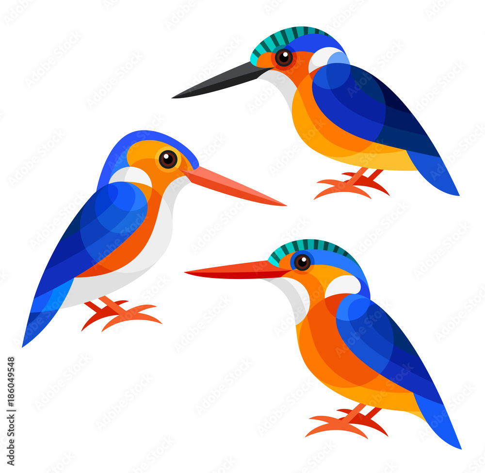 Obraz premium Stylized Birds - Malagasy Kingfisher, White-bellied Kingfisher and Malachite Kingfisher