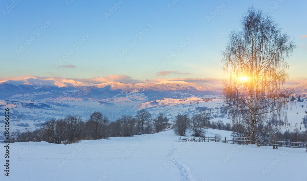 Fantastic evening winter landscape