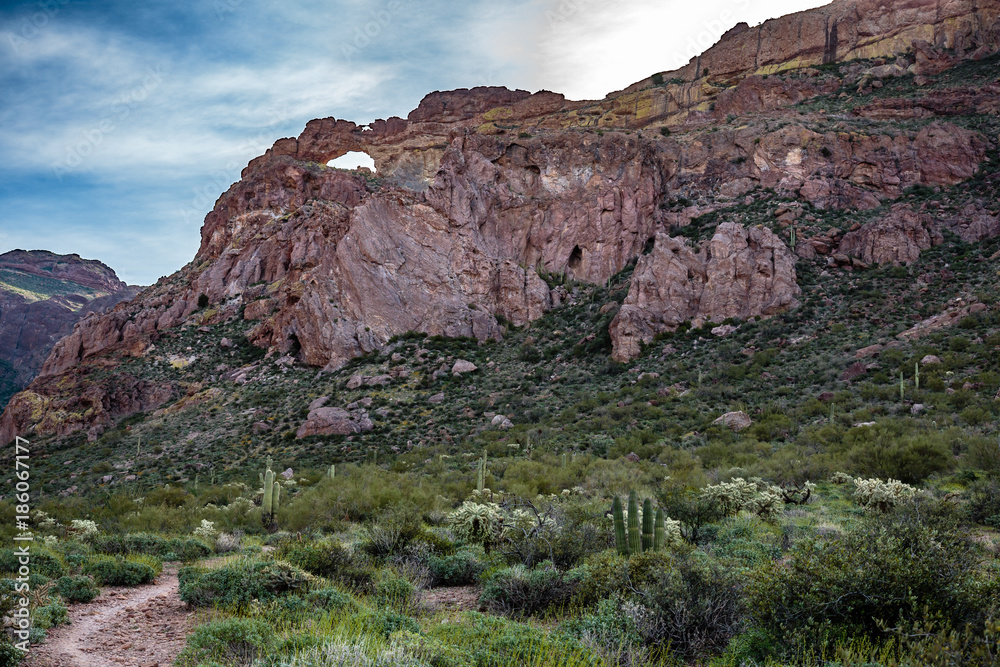 A trais leads into the rugged back country towards the Double Arches of Organ Pipe National Monument in southern Arizona.