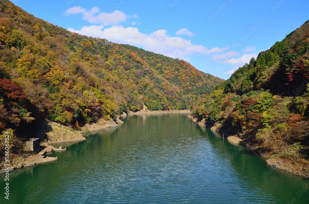 Fototapeta premium 京都 宇治川