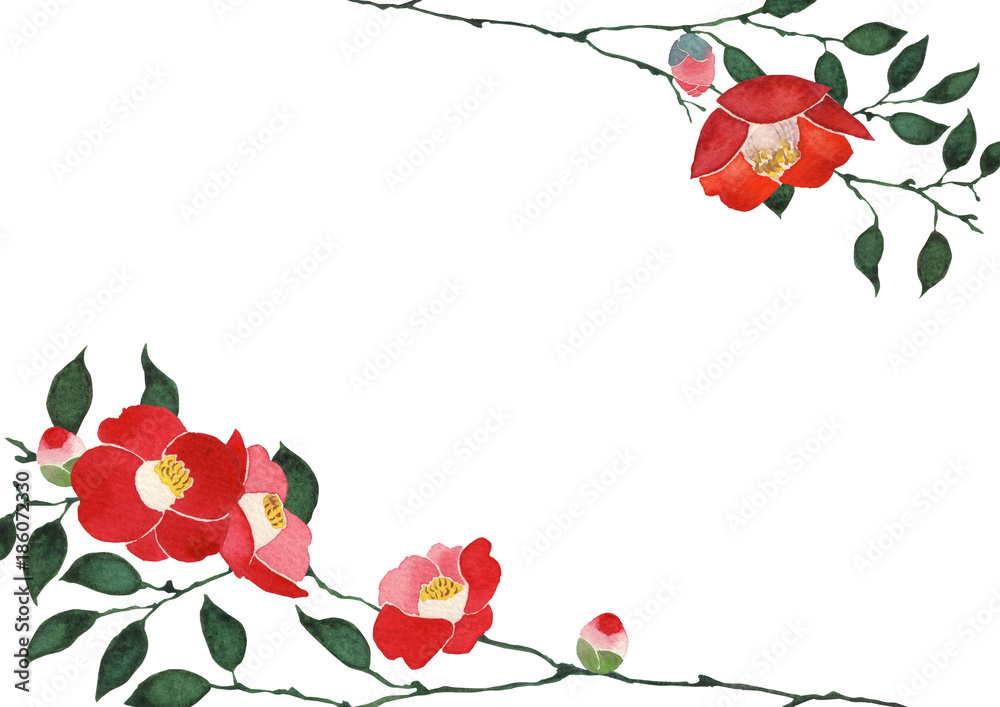 椿 背景 フレーム 水彩 イラスト Stock イラスト Adobe Stock