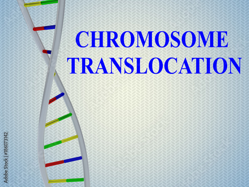 Chromosome Translocation concept photo