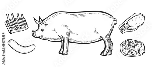 pork Meat ham cuts