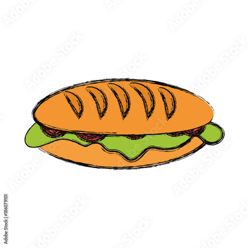 sandwich vector illustration