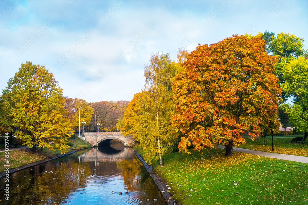 Obraz premium Golden autumn trees around in Riga