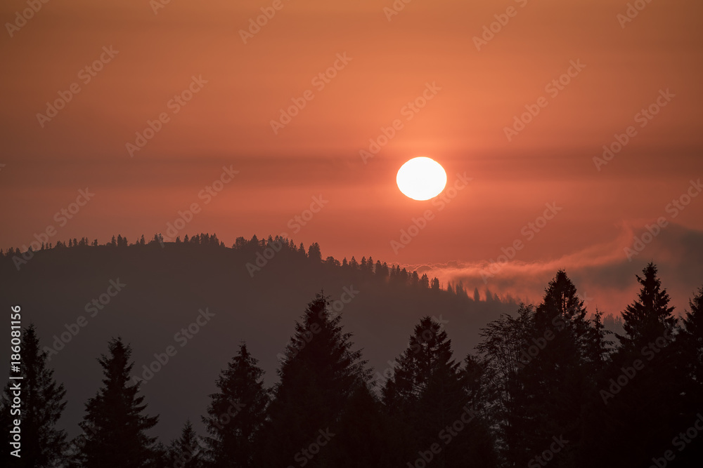 Fototapeta premium Pokut Plateau Rize Camlihemsin Turkey