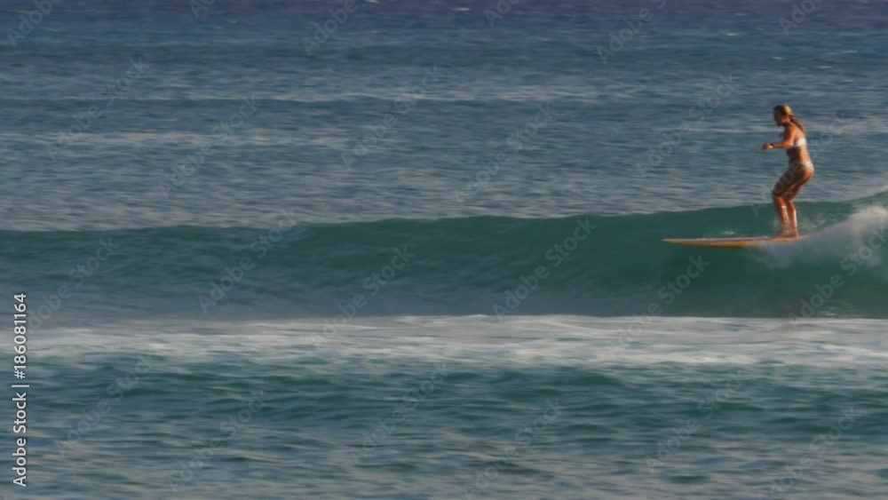 a woman rides a longboard at waikiki beach, hawaii