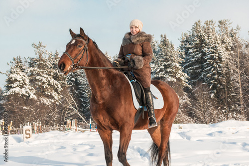 Woman in brown dress and brown horse in a winter