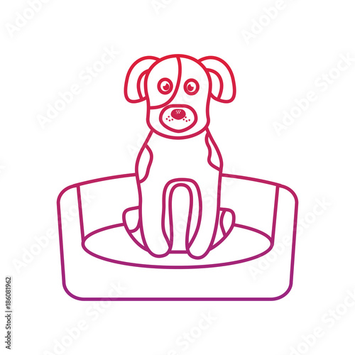 dog or puppy on bed pet icon image vector illustration design 