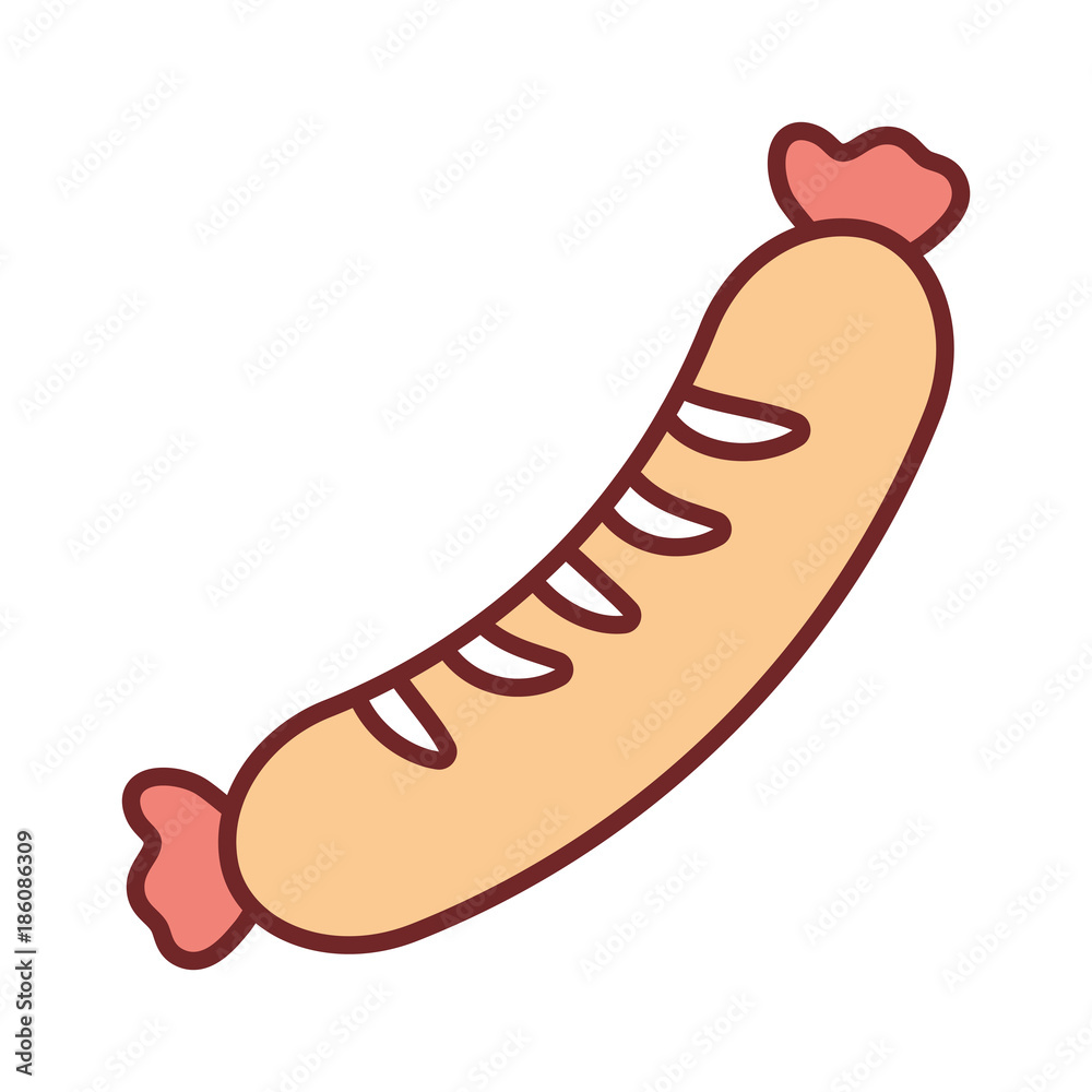 sausage vector illustration sausage vector illustration