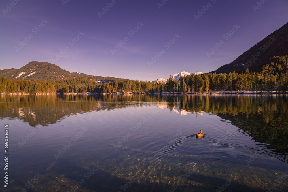 Der Hintersee, Idyllischer Blick über den See, Berchtesgadener Land