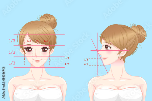 woman with perfect face proportions