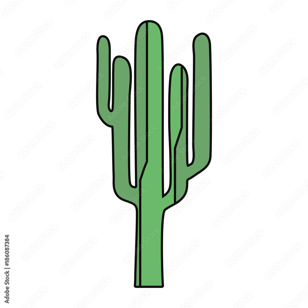 cactus icon image cactus icon image