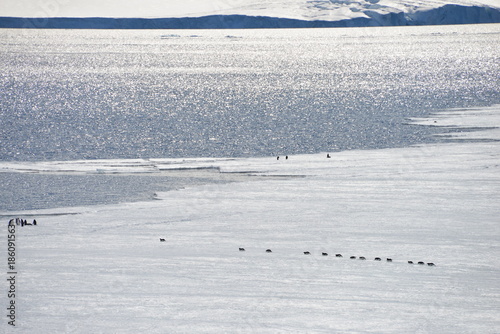 Antarctica cruise - nice scenery