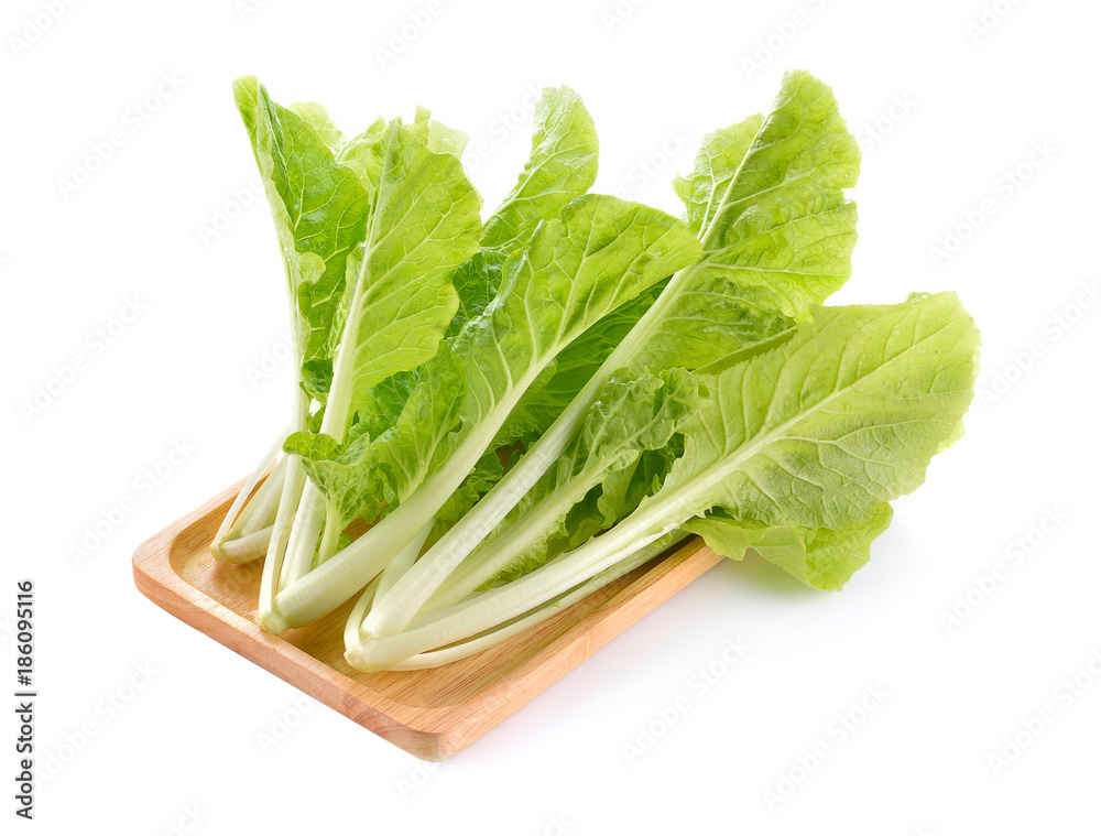 Fresh white cabbage isolated on white background. Fresh white cabbage isolated on white background.
