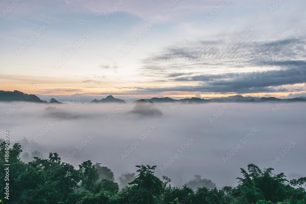 Obraz premium The fog of the 