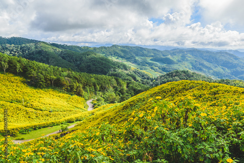 Fototapeta Naklejka Na Ścianę i Meble -  Thung Bua Tong Forest Park Doi Mae U-Kho