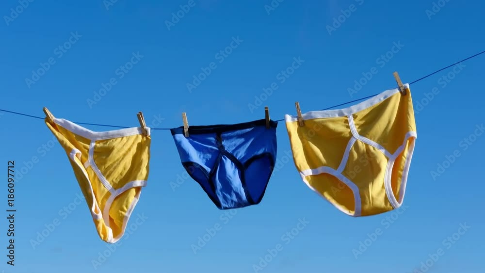Retro Y-front underwear blowing on a washing line.